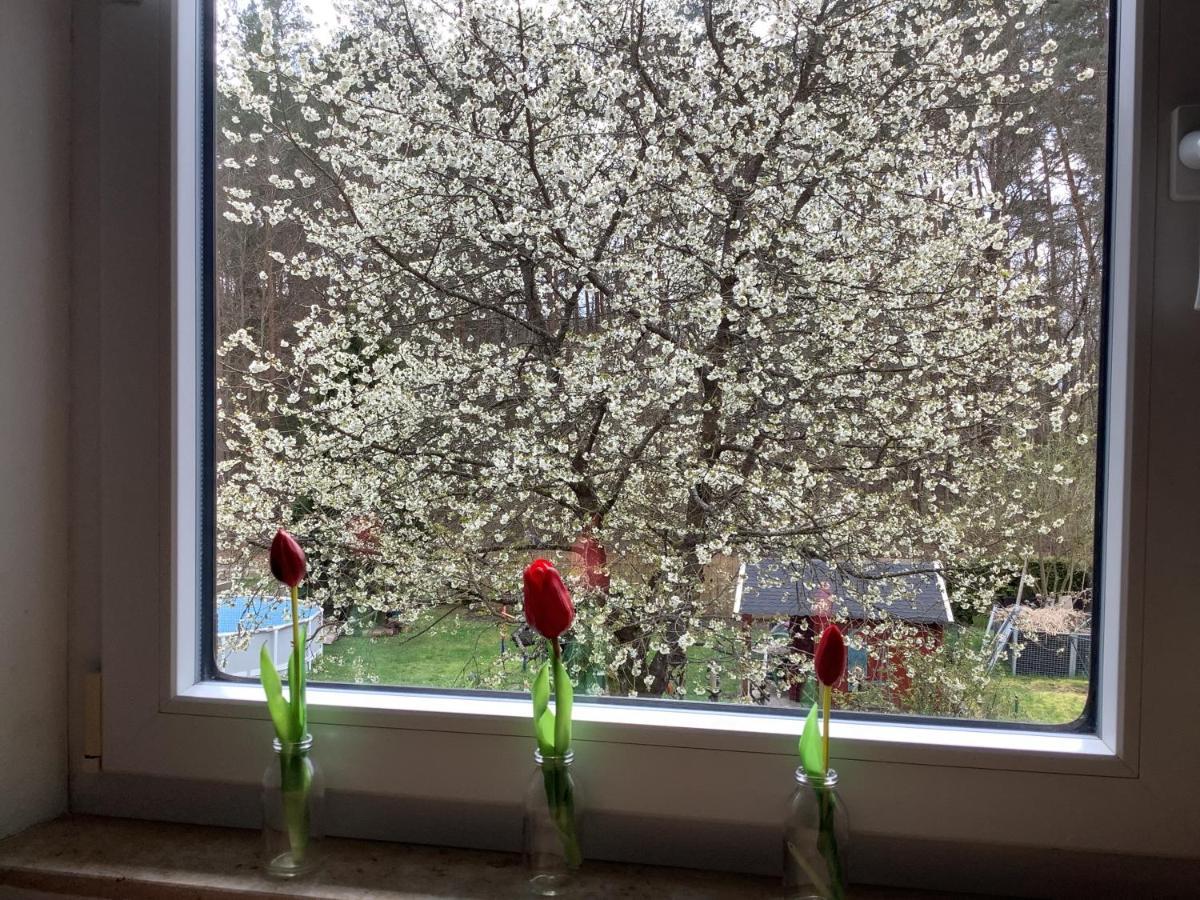 Ferienwohnung Schwarzachhoehe Nur Fuer Erwachsene 文德尔施泰因 外观 照片